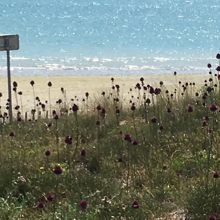 Pres Des Dunes La Couarde-sur-Mer